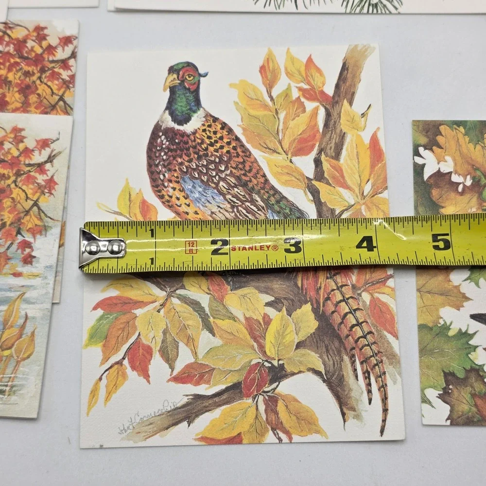 John Cornacchio Bird Note Cards 16ct Multicolor Wildlife Art Stationery Set USA
